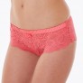 EGYPTIENNE Shorty rose