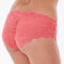 EGYPTIENNE Shorty rose
