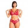 DANGER Soutien-gorge grand maintien bordeaux